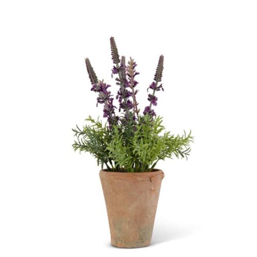 Lavender in Distressed Clay Pot