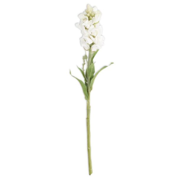 Stock Flower Stem - Image 2