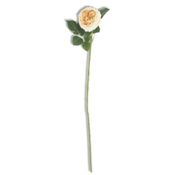 Real Touch Austin Rose Stem | Yellow