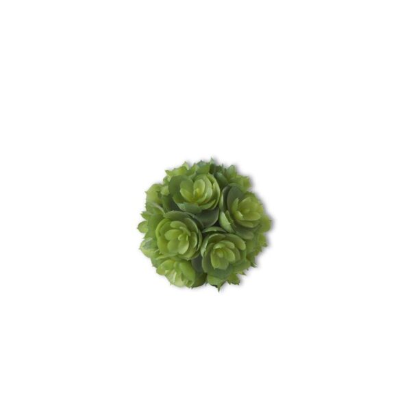 Succulent Ball