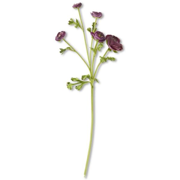 Real Touch 5 Head Ranunculus | Dark Purple