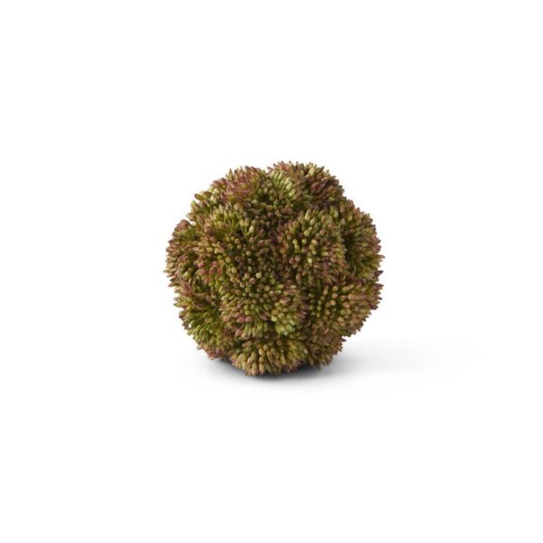 Sedum Ball | Dark Green