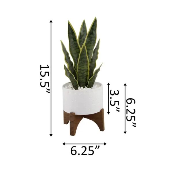 Snake Plant in Ceramic Planter on Stand - Image 3