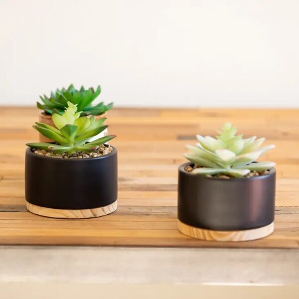 Succulent Mix in Black Ceramic Wood Base - Image 2