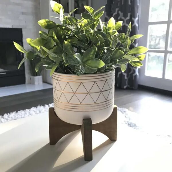 Tea Plant in GEO Ceramic Footed Pot - Image 3