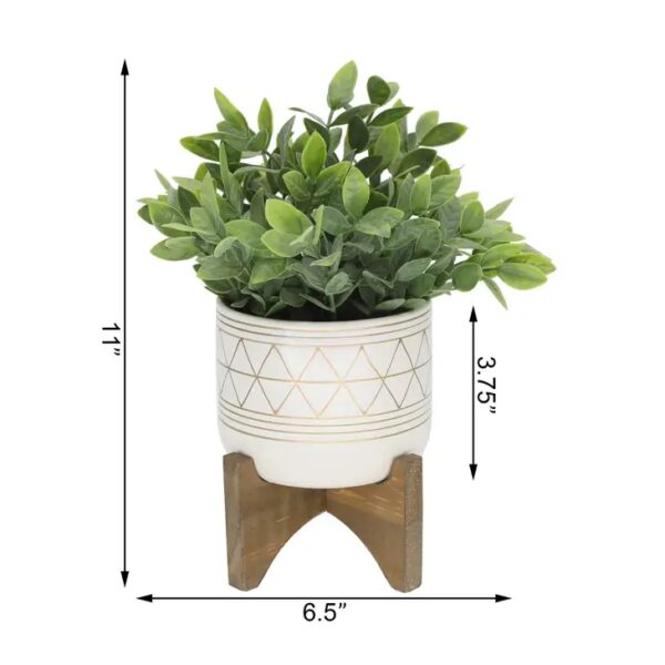 Tea Plant in GEO Ceramic Footed Pot - Image 2