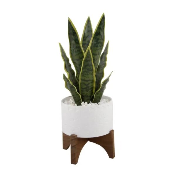 Snake Plant in Ceramic Planter on Stand