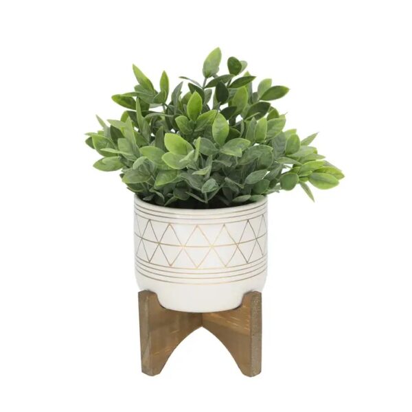 Tea Plant in GEO Ceramic Footed Pot