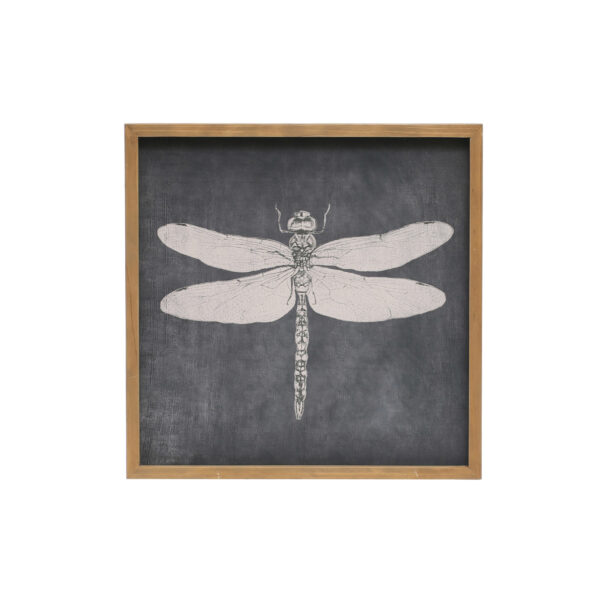 Wood Framed Wall Décor w/ Dragonfly