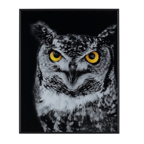 Hoot