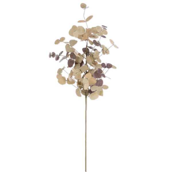 Eucalyptus Stem | Tan Two-Tone