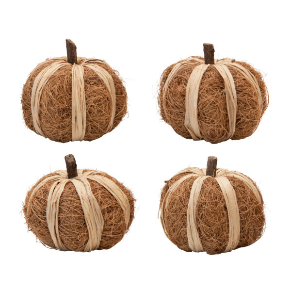 Dried Natural Coco Fiber and Raffia Pumpkin