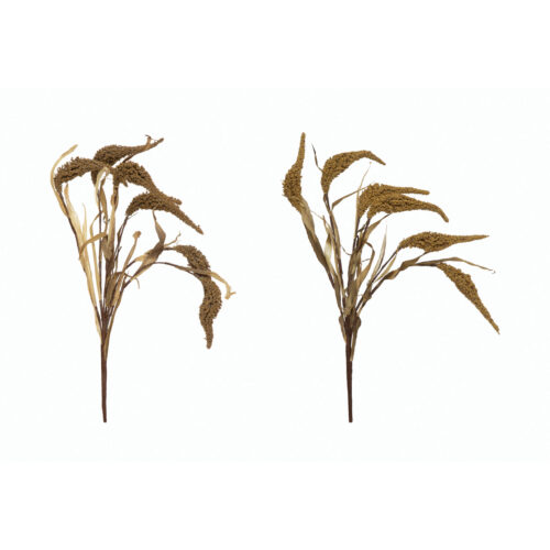 23-1/4"H Faux Millet Bunch