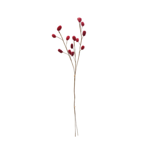 28" Dried Globe Thistle Burgundy