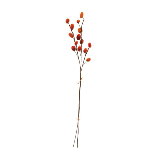 28" H Dried Globe Thistle Bunch Orange