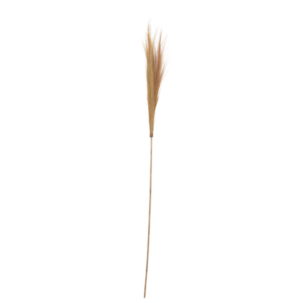 78"H Dried Natural Tiger Grass on Bamboo Pole Tan Color