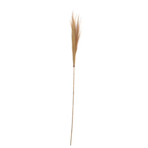 78"H Dried Natural Tiger Grass on Bamboo Pole Tan Color