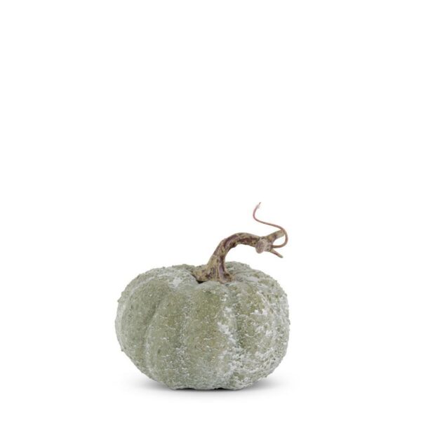 Whitewashed Textured Pumpkin | Green