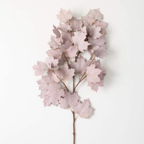 Maple Leaf Spray