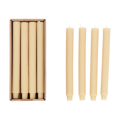 Pleated Taper Candles in Box | Eggnog