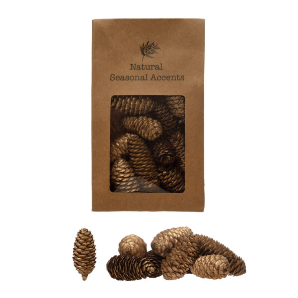 Dried Natural Pinecones in Printed Kraft Bag