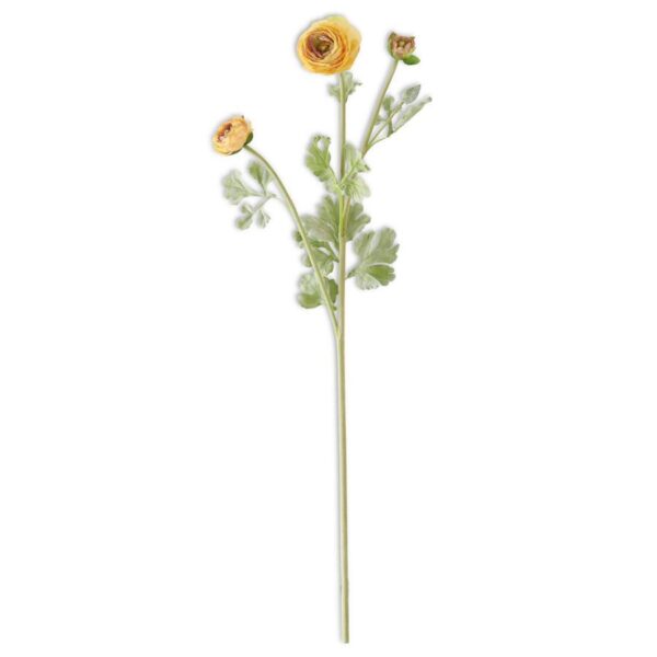 Ranunculus Spray | Yellow