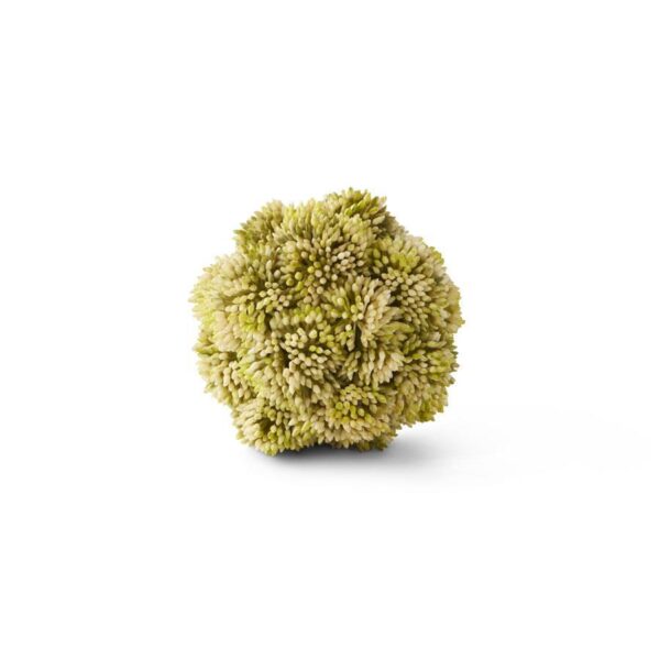 Light Green Sedum Ball