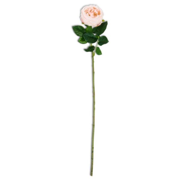 Real Touch Austin Rose Stem | Peach