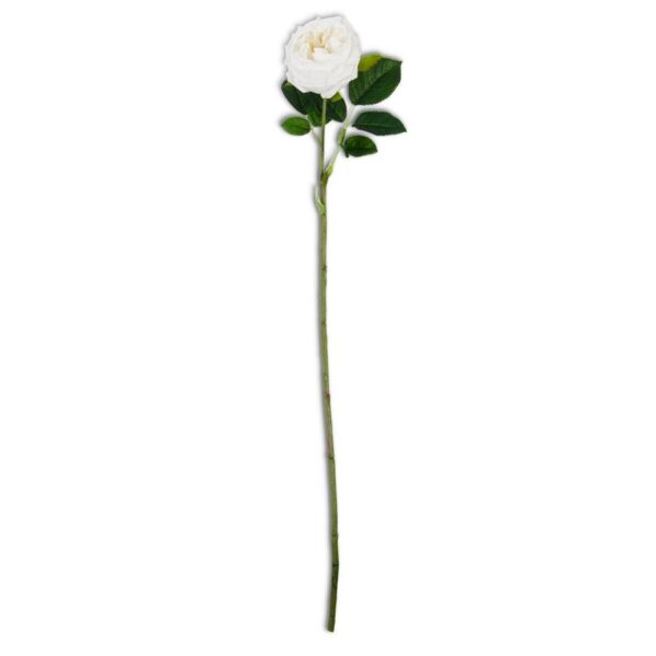 Real Touch Austin Rose Stem | White