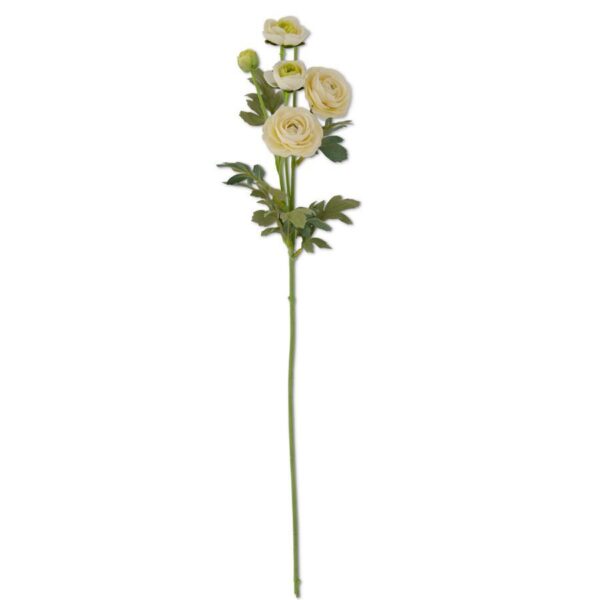 Ranunculus Spray | White