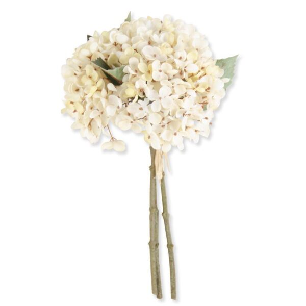 Hydrangea Bundle | Cream Two-Tone