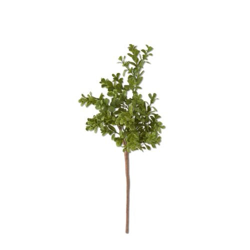 Boxwood Pick 18 Inch Real Touch