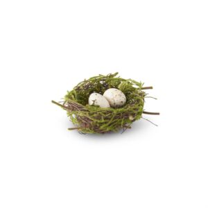 Bird Nest w/ Eggs