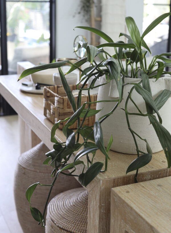 5 Ways to Create Zen in Home Decor