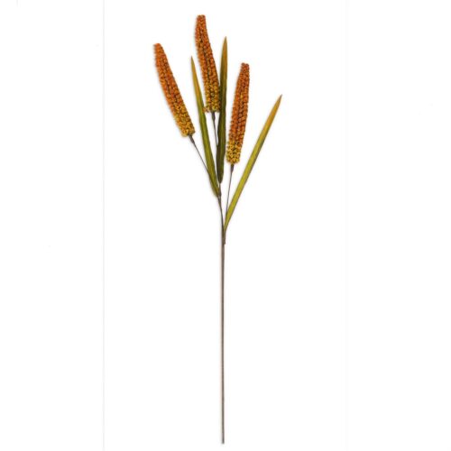 Orange Rice Spray