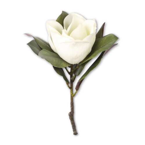 Magnolia Stem | White