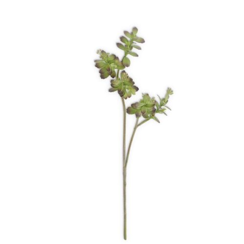 Leafy Green and Burgundy Succulent Stem w/ Berries