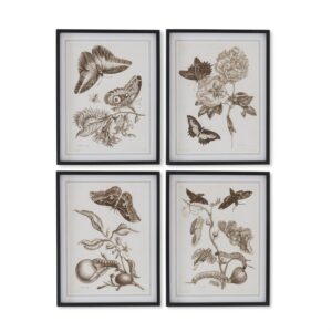 Brown Moth Prints w/Black Wood Frames