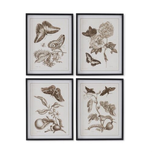 Brown Moth Prints w/Black Wood Frames