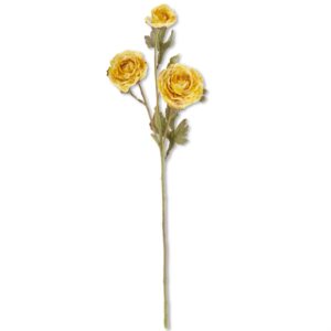 Yellow Ranunculus Spray