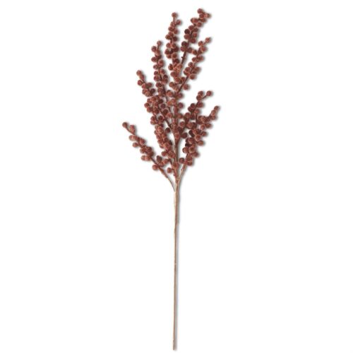 Brown Flocked Berry Stem