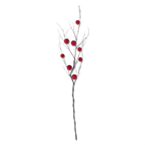 Red Ball Branch