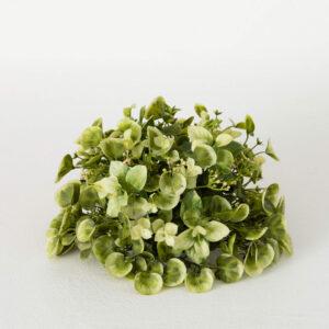 Eucalyptus/Mint Leaf Orb