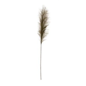 Faux Pampas Grass Plume Olive