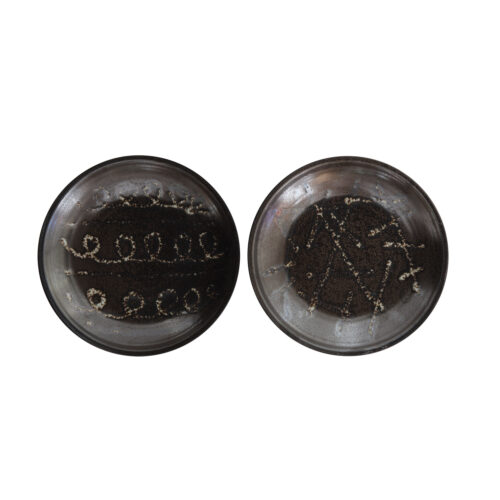 Terracotta Plate Wall Decor 16"