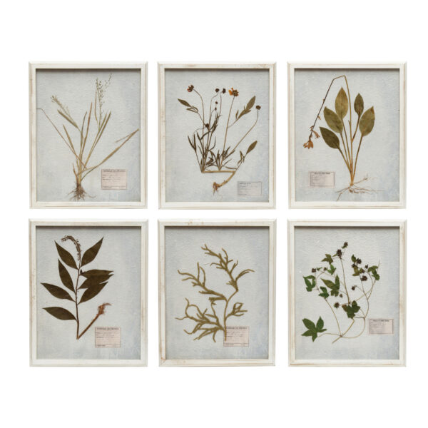 Wood Framed Glass Wall Decor with Dried Botanicals