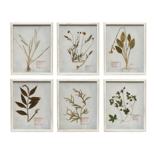 Wood Framed Glass Wall Decor with Dried Botanicals