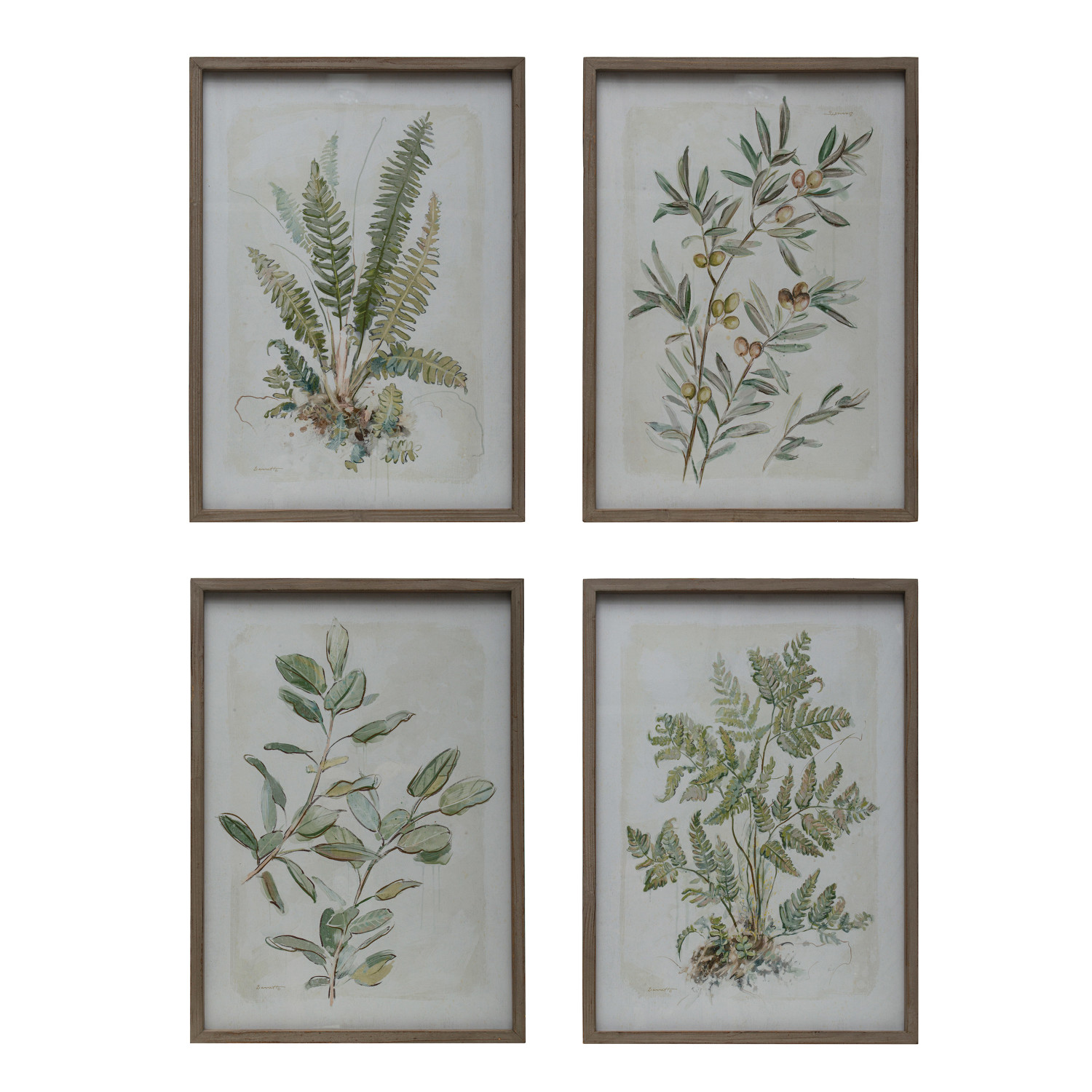 Wood Framed Glass Wall Décor w/ Botanical Print