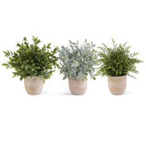 Herbs in Terracotta Pots