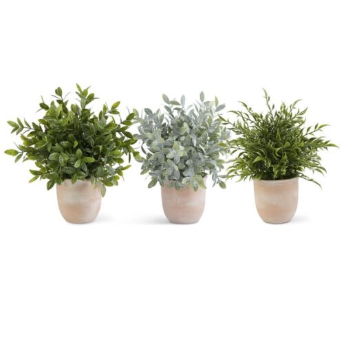 Herbs | Terracotta Pots